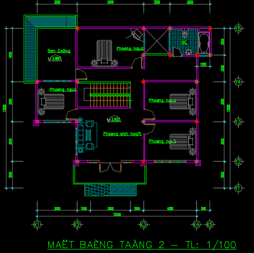 Nhà biệt thự 2 tầng 12x12m