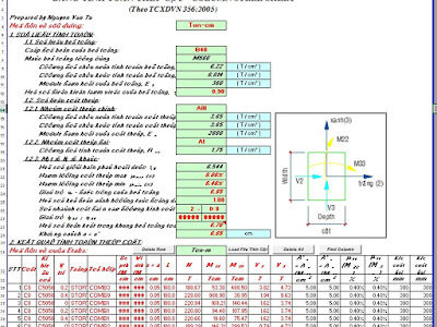 Bảng tính BTCT-356-2005